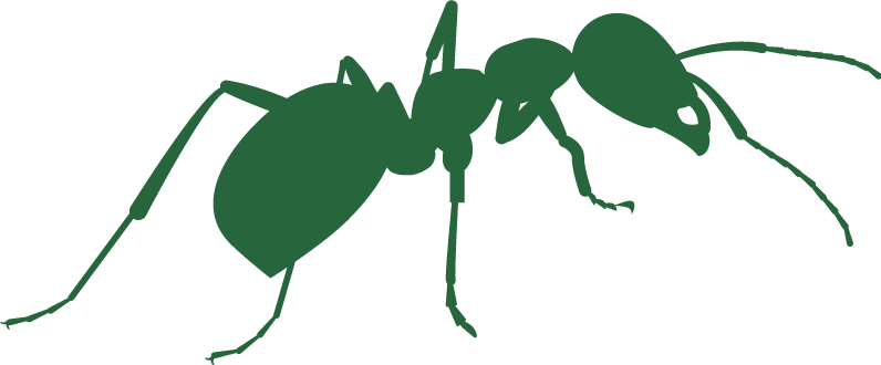ants_large_icon.png