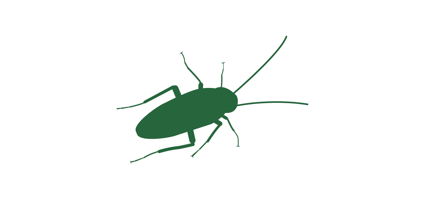 cockroach_header.png