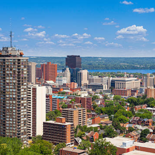 Hamilton Bed Bug Exterminator & Pest Control — Addison Pest Control