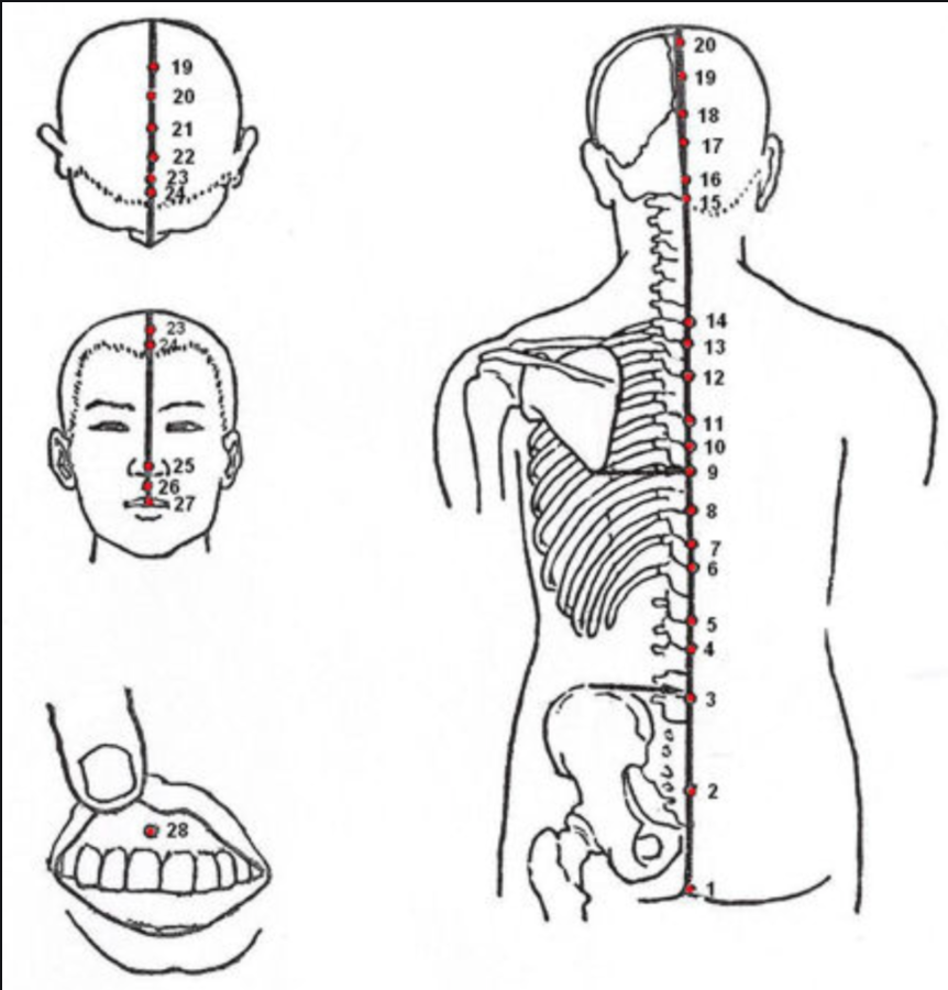 The Governor Vessel:  A Lawmaker’s Vase?