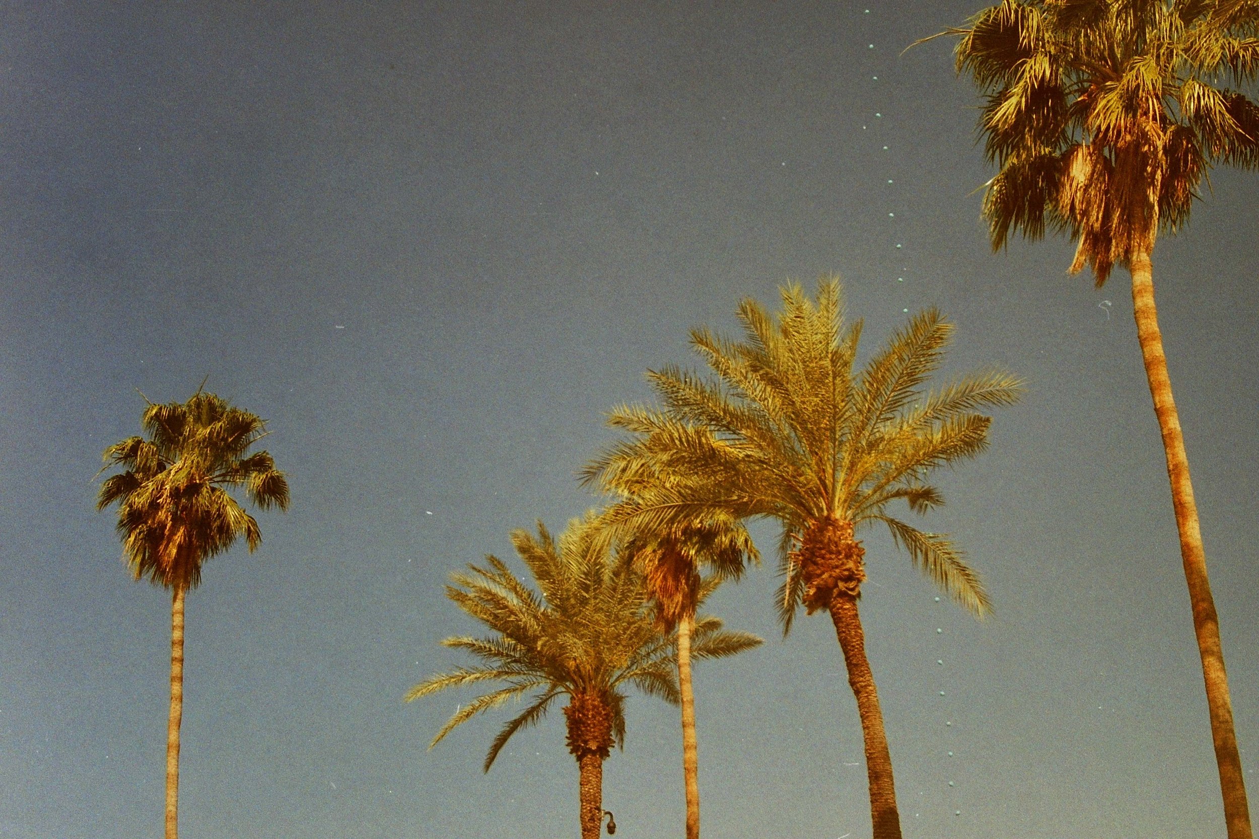 PICT0104.jpg