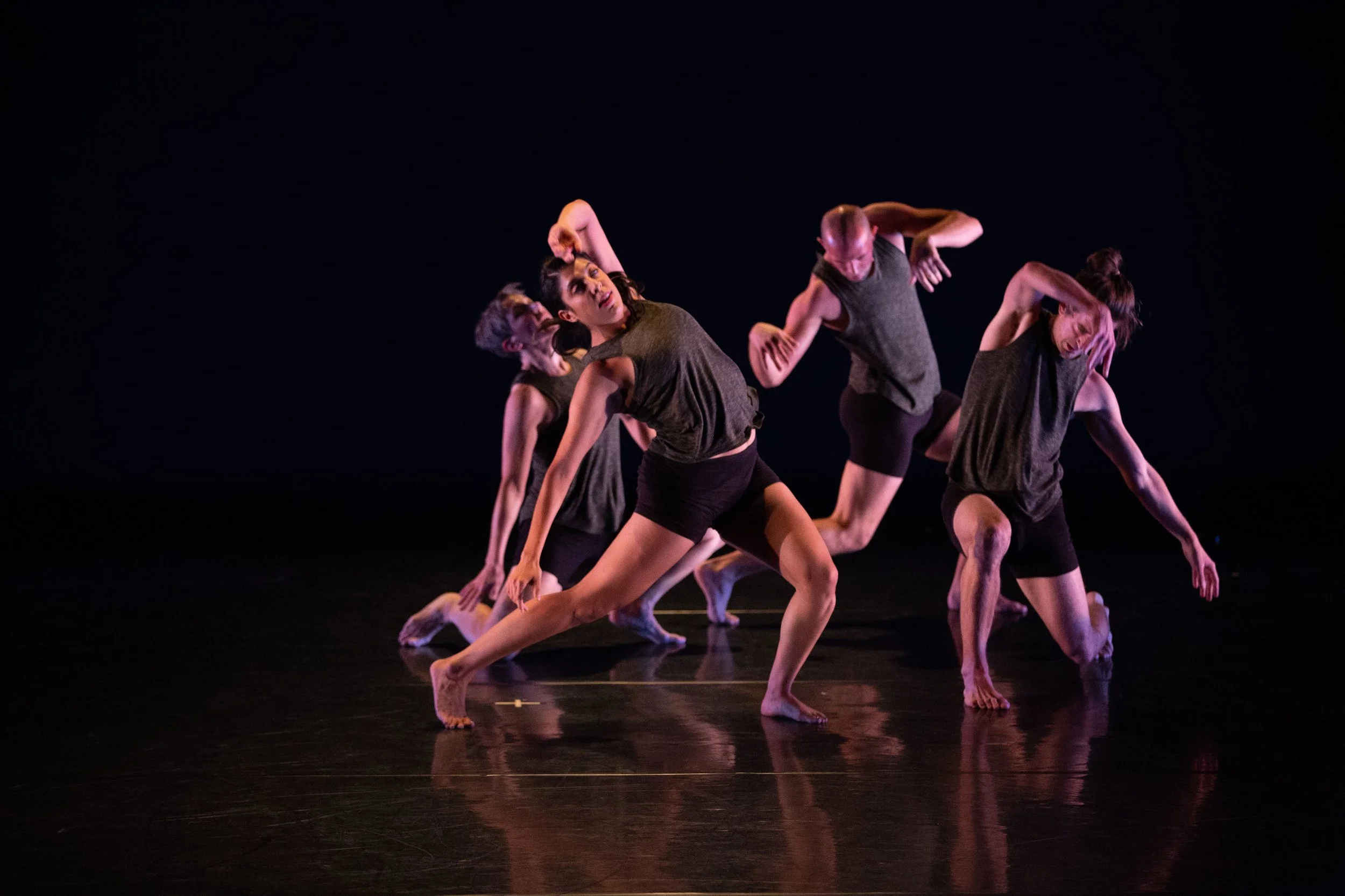 VADCO/Valerie Alpert Dance