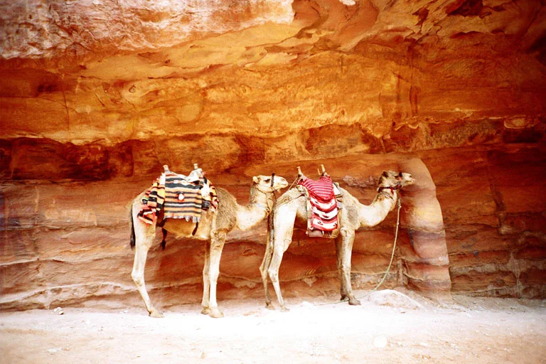 Photo by Hind Mezaina taken in Petra, Jordan.