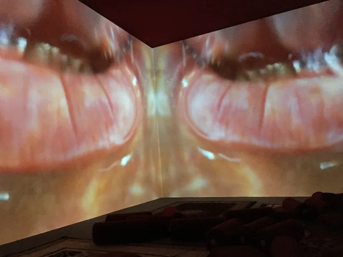Pipilotti Rist — Mercy Garden from the Mercy Work Family, 2014 Audio video installation (video still) Music by Heinz Rohrer, Duration: 15’14” (loop) (Photo: © Hind Mezaina)