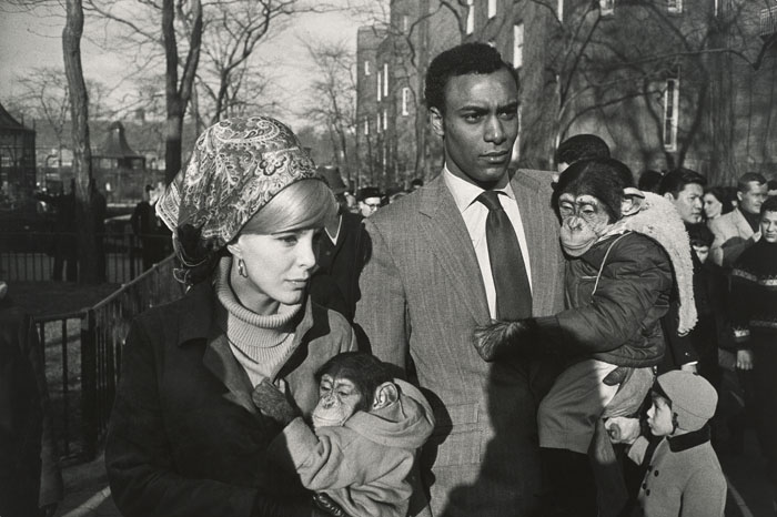 Garry Winogrand - Central Park Zoo, New York, 1967 - Collection of Randi and Bob Fisher. © The Estate of Garry Winogrand, courtesy Fraenkel Gallery, San Francisco