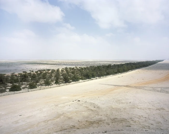 8_Forestry+project_Western+Region_Abu+Dhabi.jpg