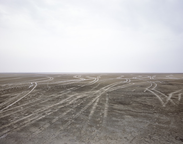 13_Cyanobacteria_Western+Region_Abu+Dhabi.jpg