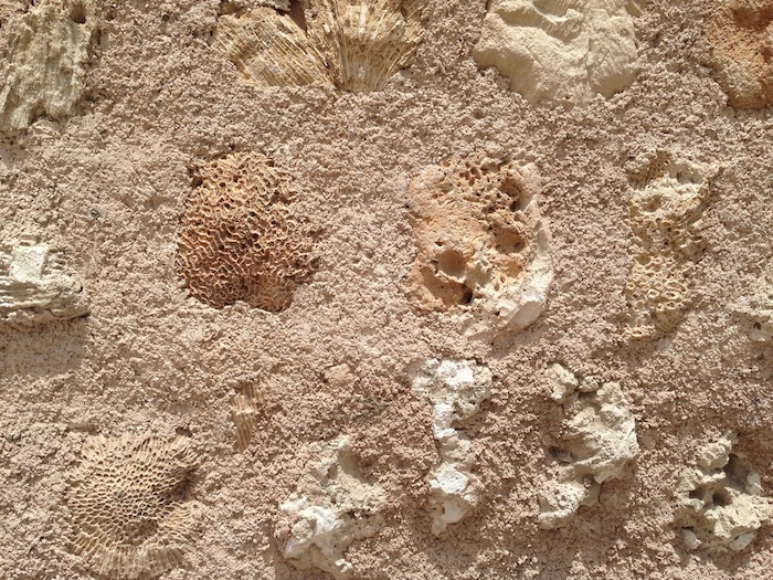Coral that was used to build these old homes. Only a few buildings that were built with coral are left in the Heritage Area
