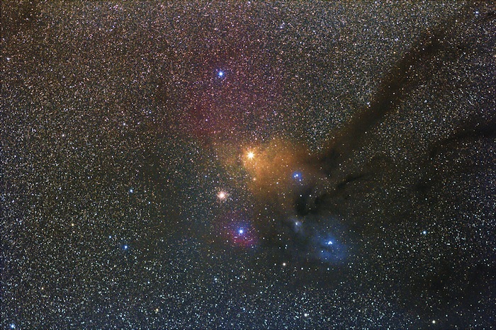 Hilmi+Al-Kindy+rho+ophiachi.jpg