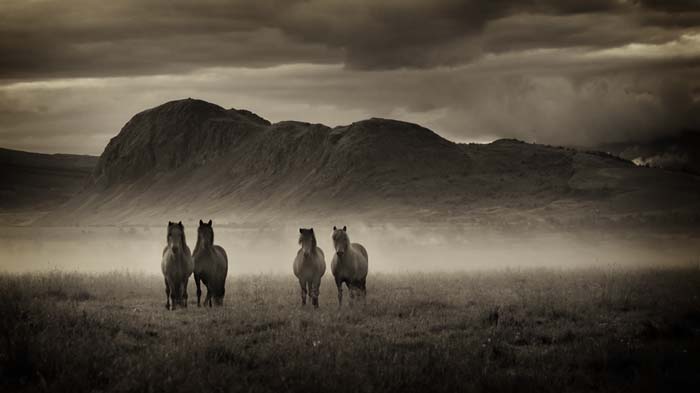 © Catalin Marin
