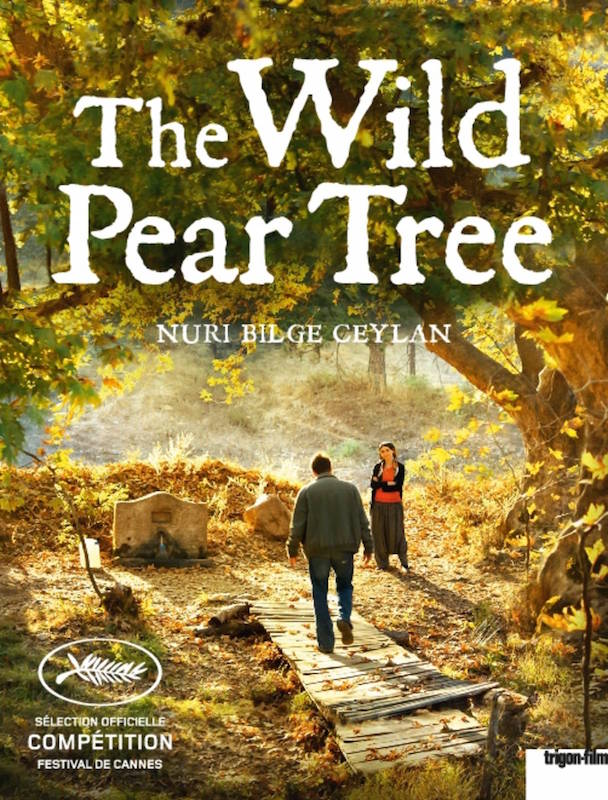 The Wild Pear Tree.jpg