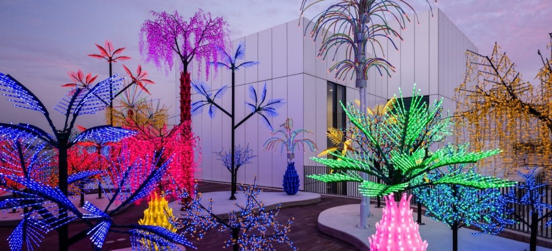Contrary Life: A Botanical Light Garden Devoted to Trees
