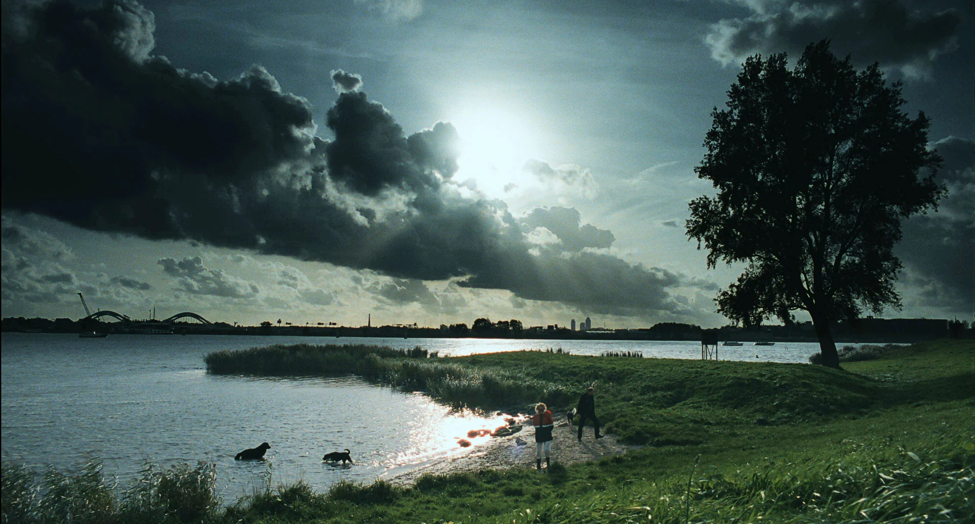 DUTCH LIGHT 02.jpg