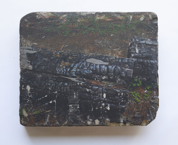  Letter 2: burnt tree 2019 Laser jet print transfer, lithography stone 27.5 x 33 x 4.5 cm    