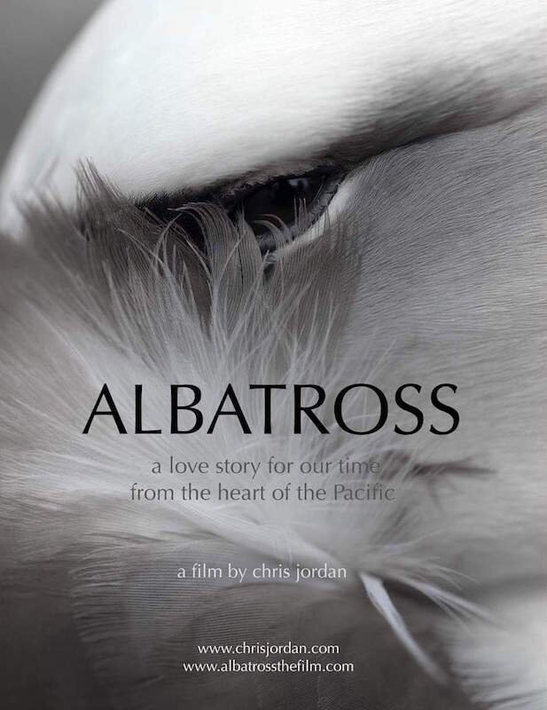 Albatross_Film Poster.jpg
