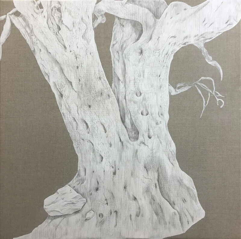 Praneet Soi, Olive Tree IV, 2020 Silverpoint on linen, 31.5 x 31.5 inches from the Prabhakar Collection
