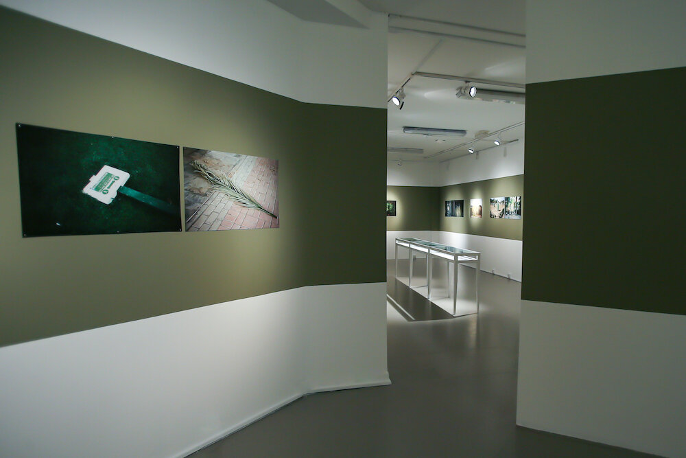 Wonder Land_Hind Mezaina_Tashkeel_Installation Shot 19.jpg