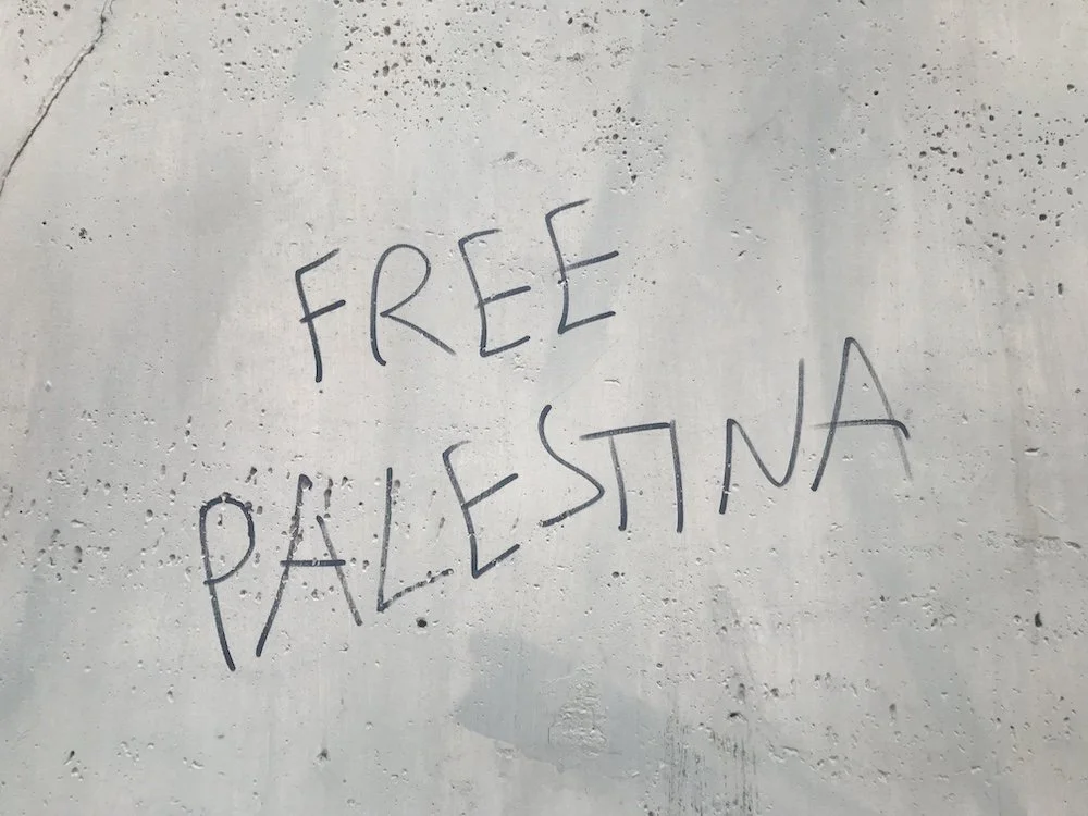 Free Palestina_Bologna_Il Cinema Ritrovato 2025.JPG