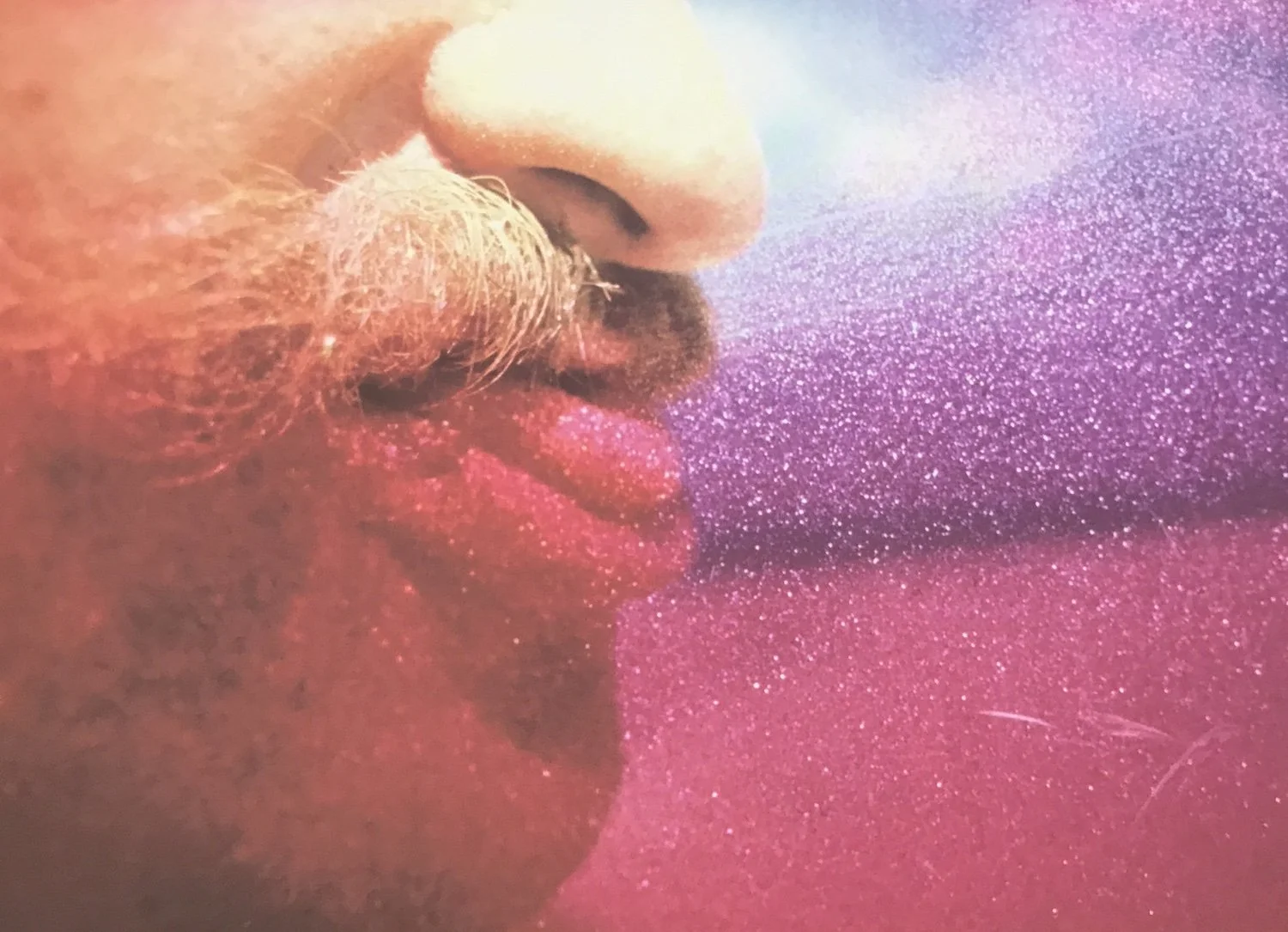 From the series Yesterday’s Sandwich, 1966-68