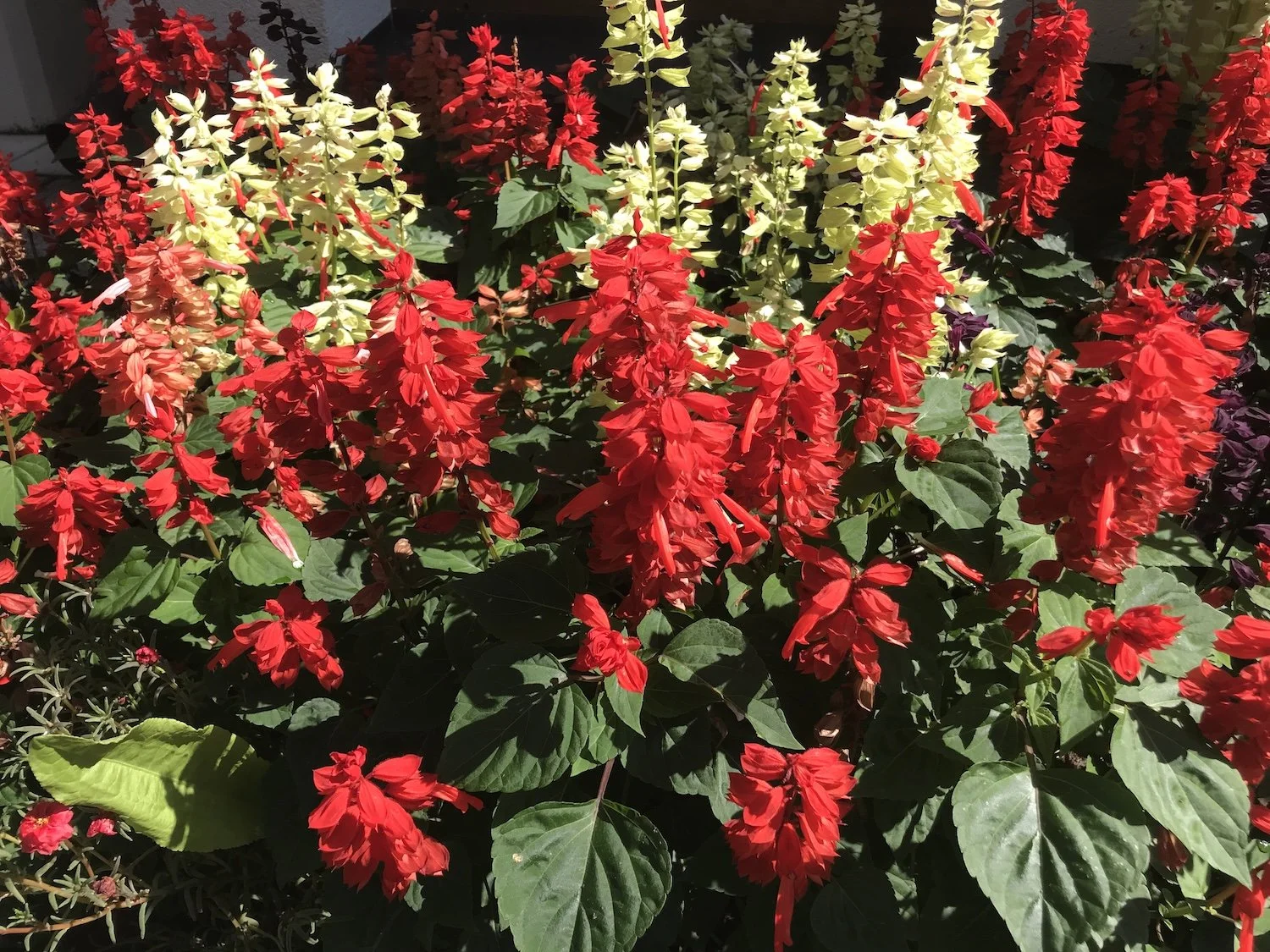 Personal Highlights of 2025