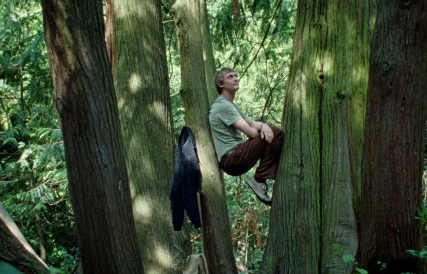 Favourite New Films of 2025