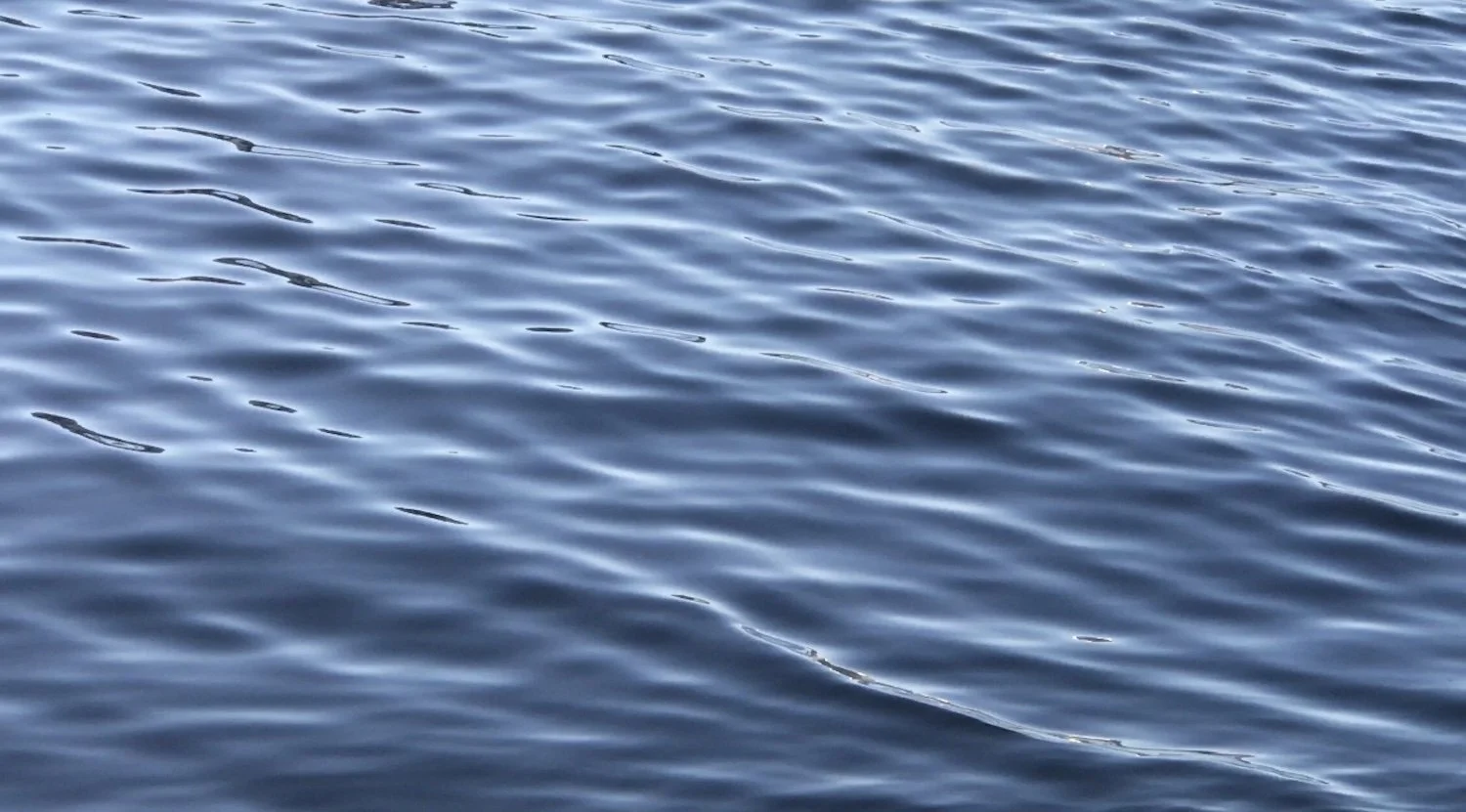 Happy New Year 2026_Hind Mezaina_The Culturist_04.jpg