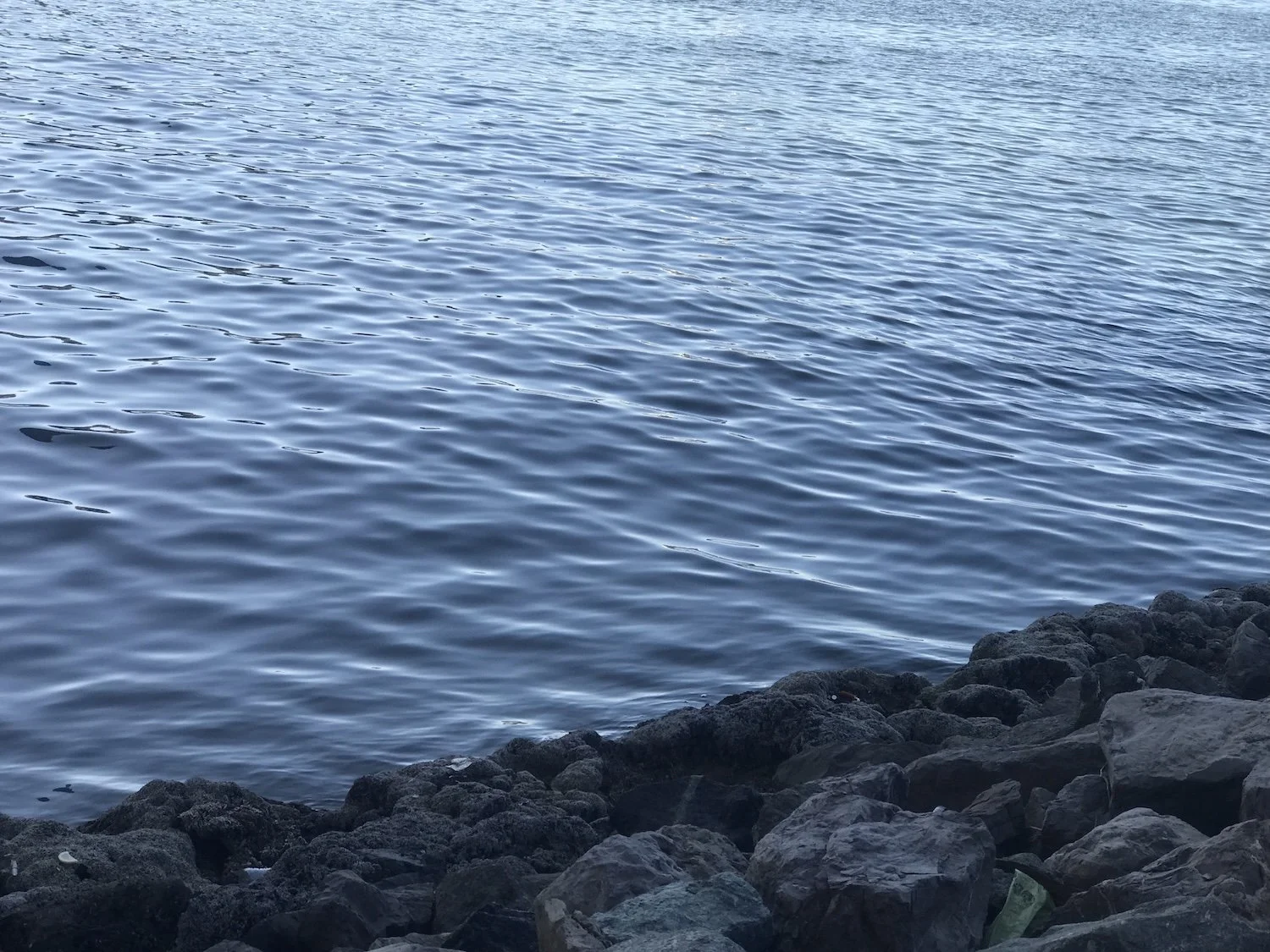 Happy New Year 2026_Hind Mezaina_The Culturist_01.jpg