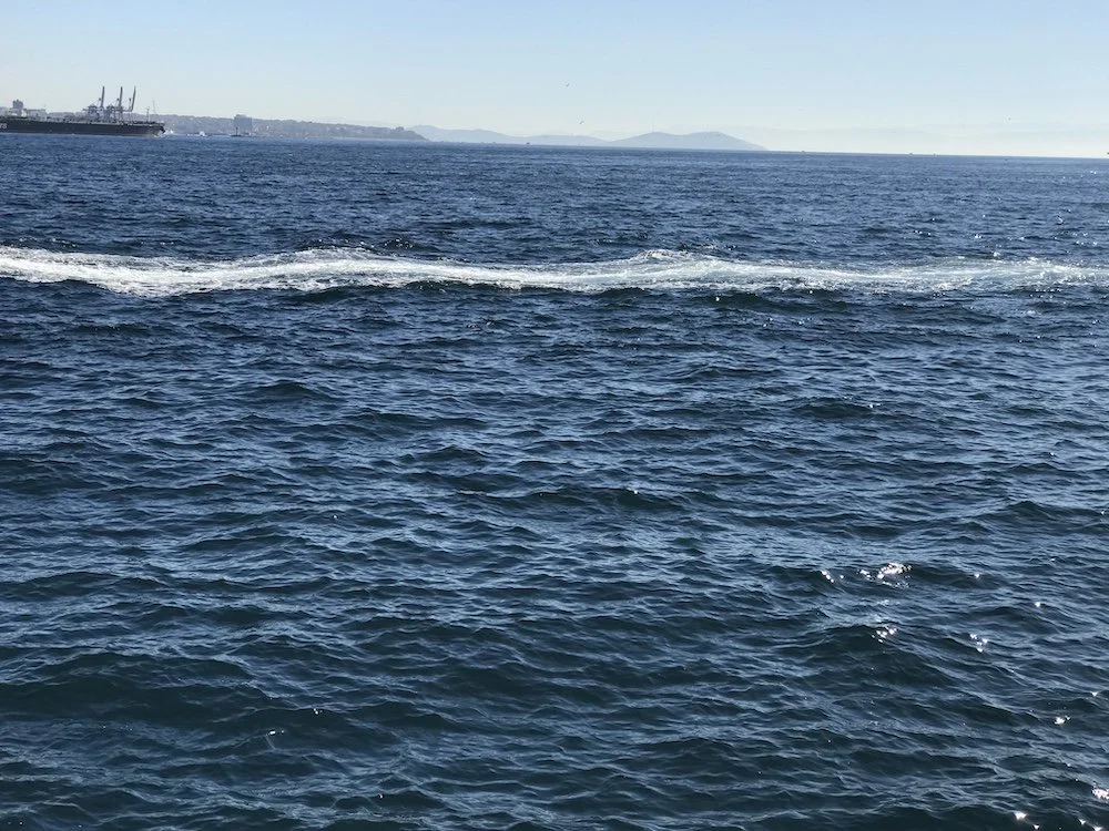 Istanbul_Hind Mezaina_IMG_3483.JPG