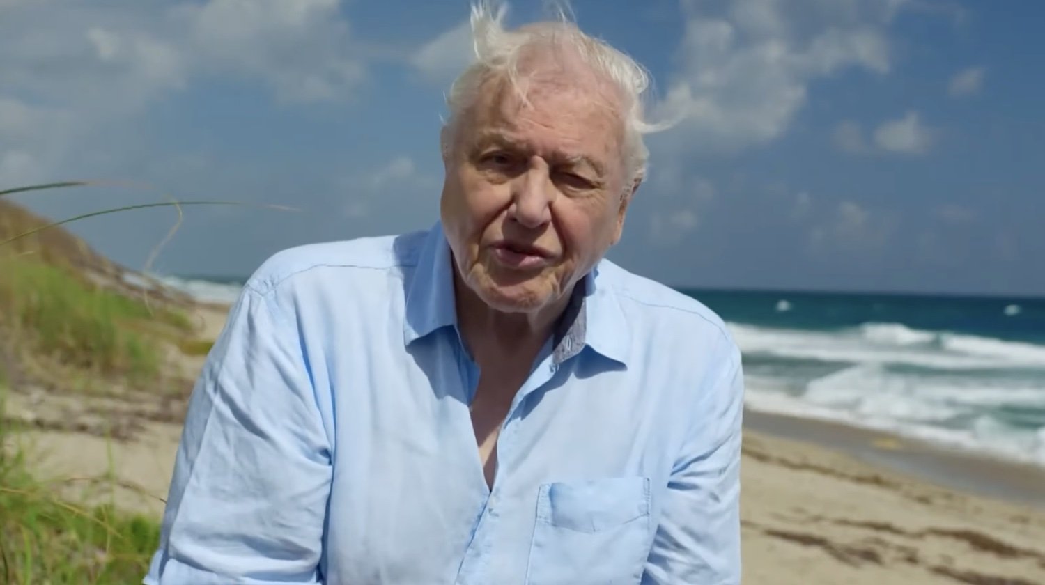 David Attenborough_100_The Culturist_04.jpg