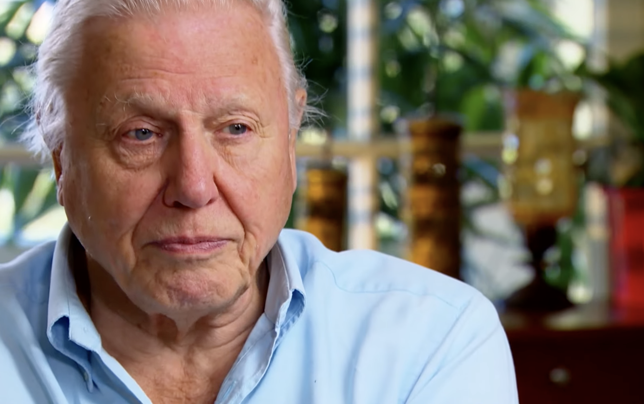 Happy 100th Birthday to Sir David Attenborough