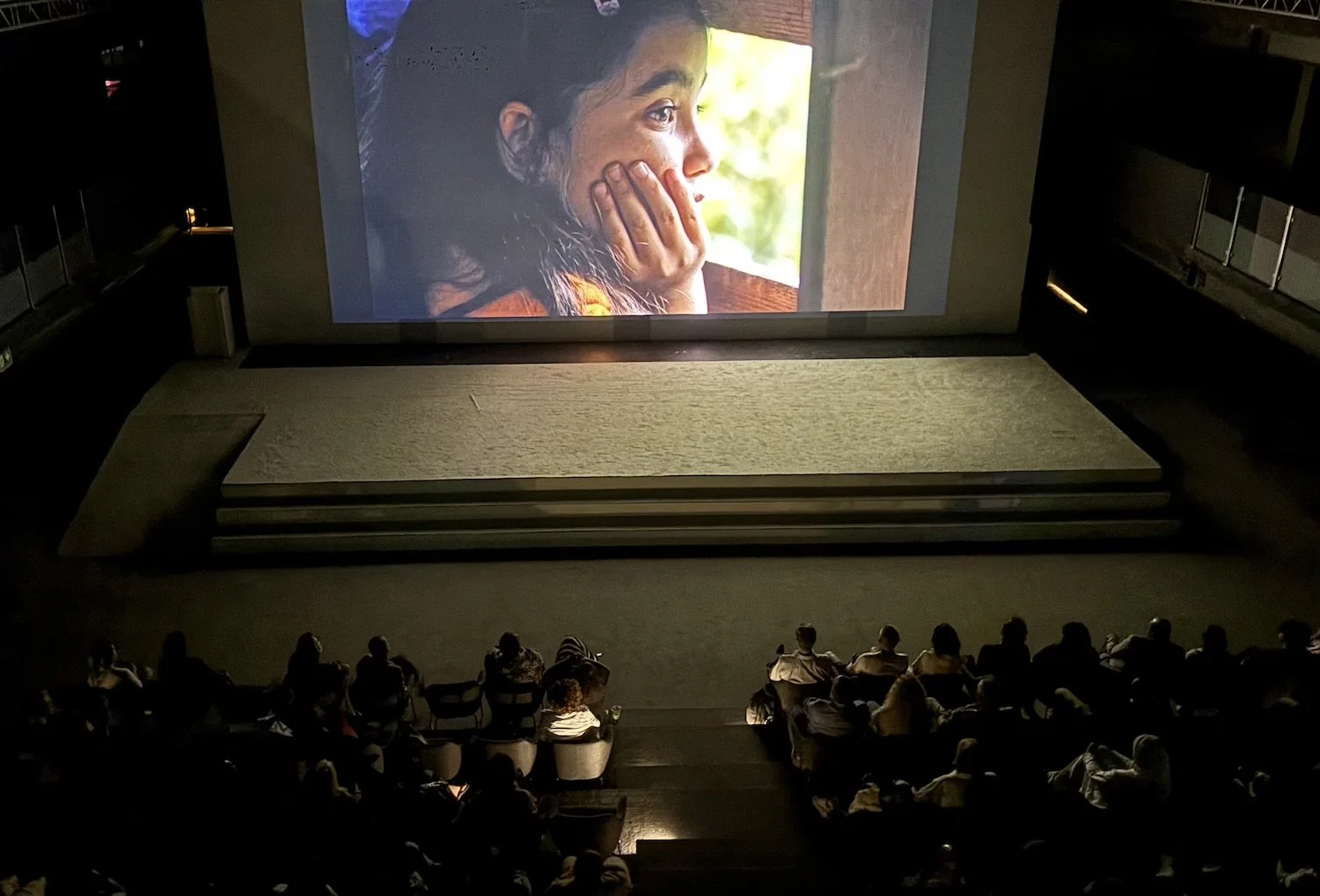 Photos from the Culturist Film Club screening of Blue Heron