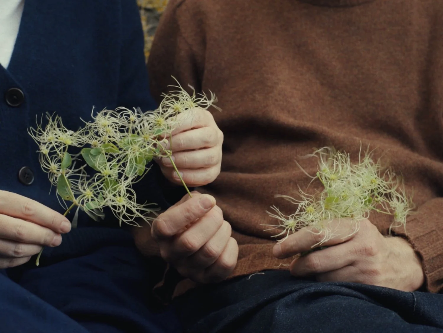 Garments to Live In by Camilla Greenwell 