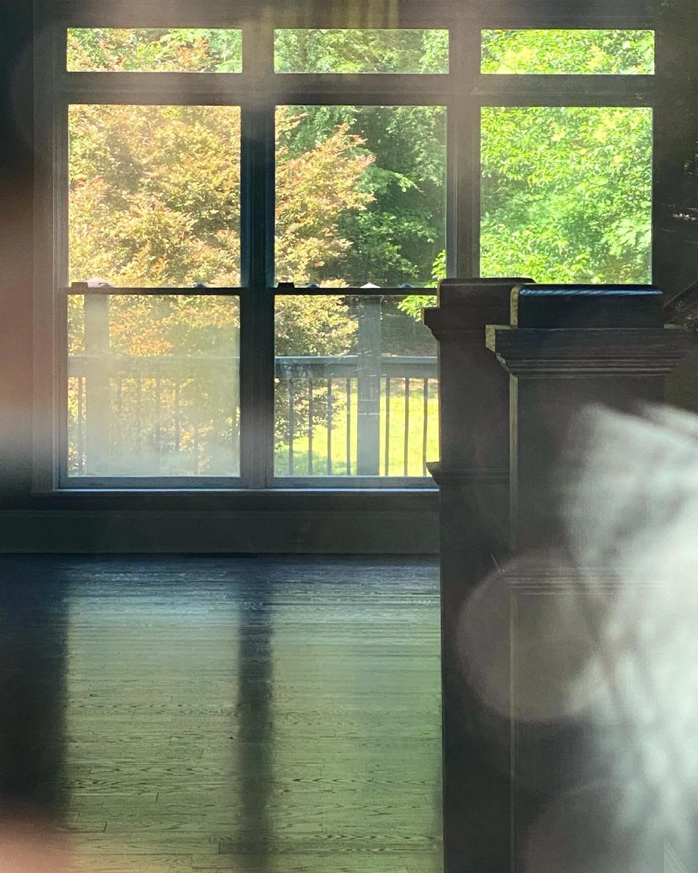 I maaaay be trespassing. 
But in this housing market, the rules are out the window, right?🤷🏻&zwj;♀️
Charlotte has so many great neighborhoods, but I&rsquo;m finding myself drawn to this property with acreage. Like living in a treehouse! 💚
Thoughts