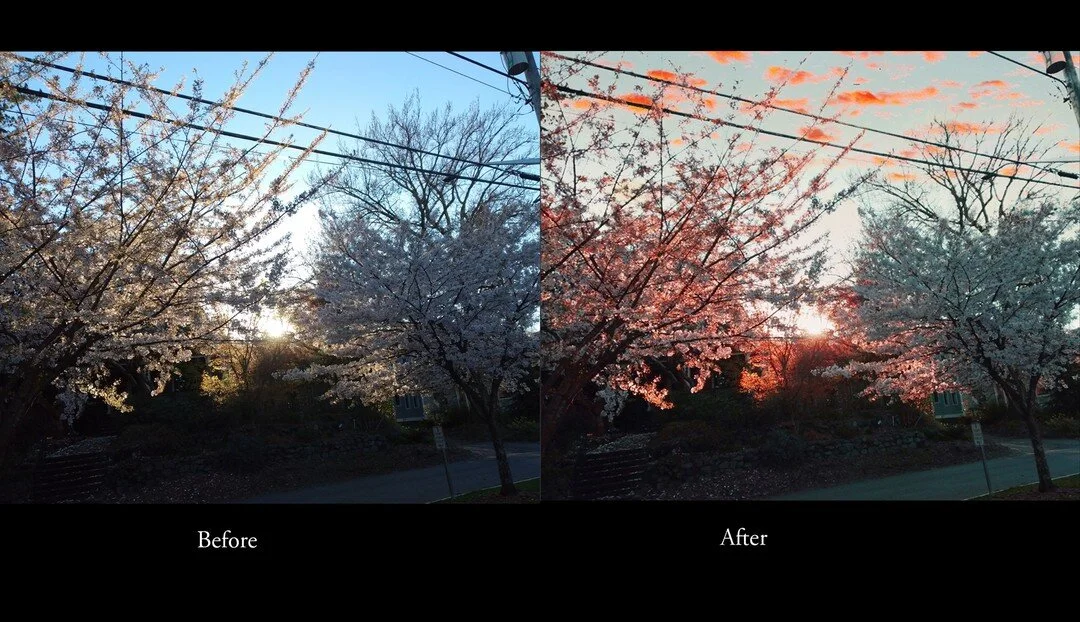 An essential part of commercial digital photography is editing. Here's a creative Before and After from Lidia, exploring an near-infrared retake on the original.