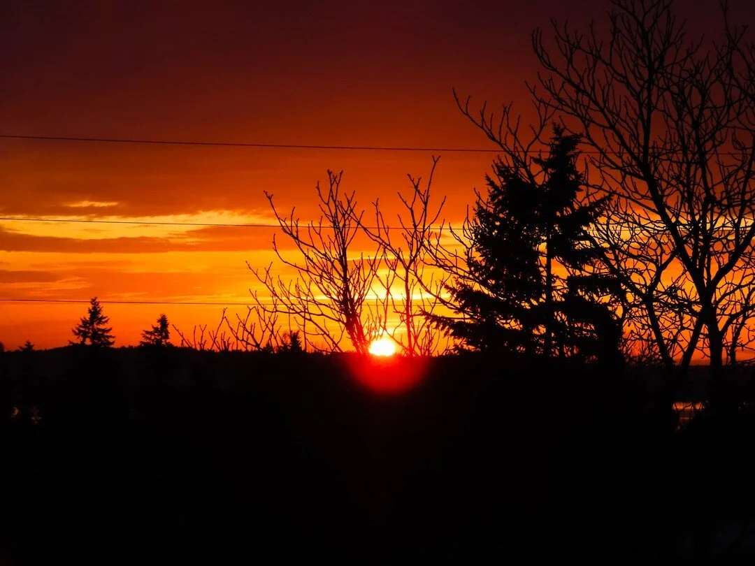 June 10th marks the End of Program Showcase for the Creative Career Cohort. Join us at 6pm to honor these youth as they show their portfolios and discuss their work and experiences. (Photo by Brenda P)
https://youthinfocus.org/ccc3-webinar