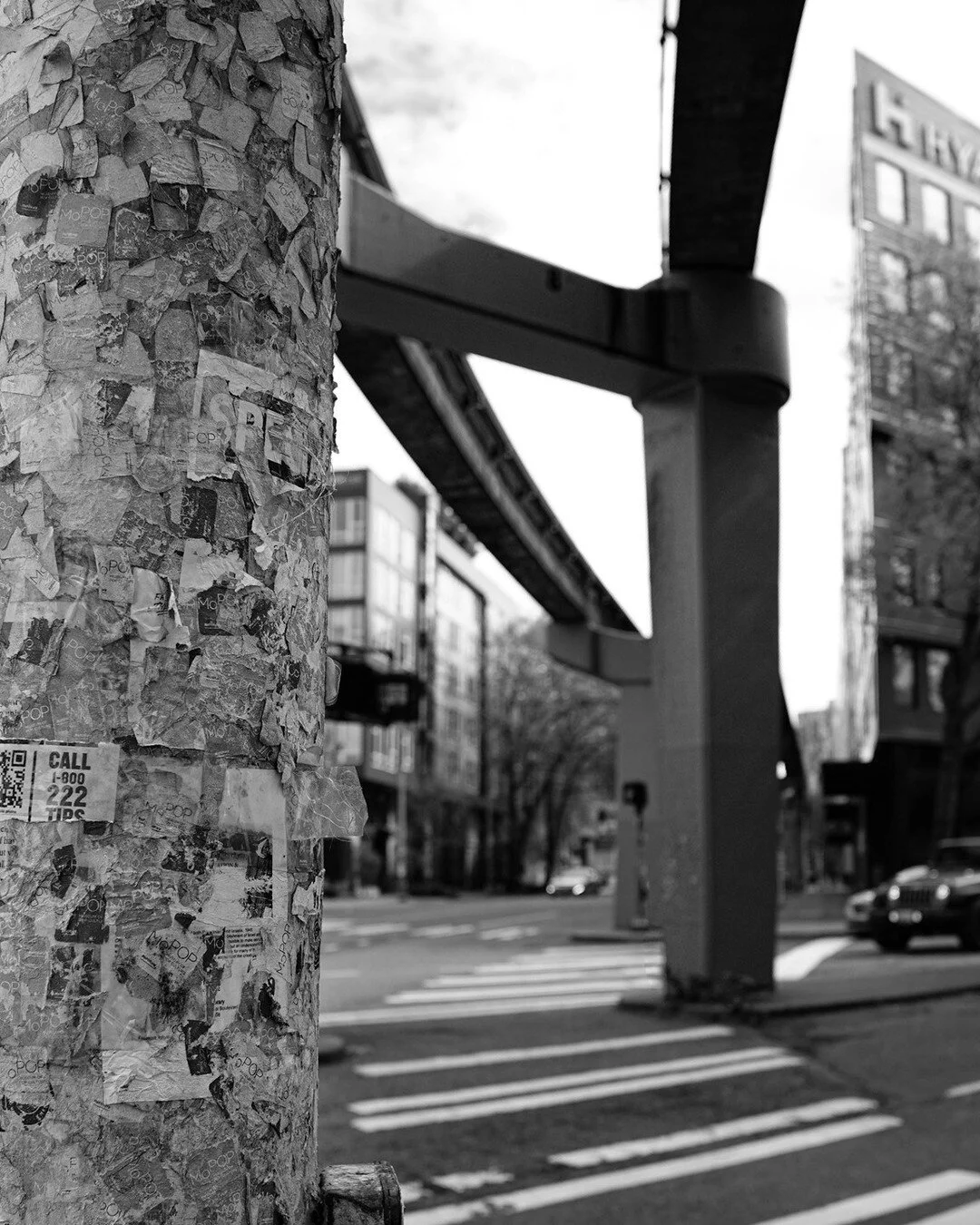 Join us to celebrate the end of Beginning Photo and Artistic Elements. Check out their work and hear their stories, 4:15pm, Tuesday June 8.
https://youthinfocus.org/beginningphotowebinar