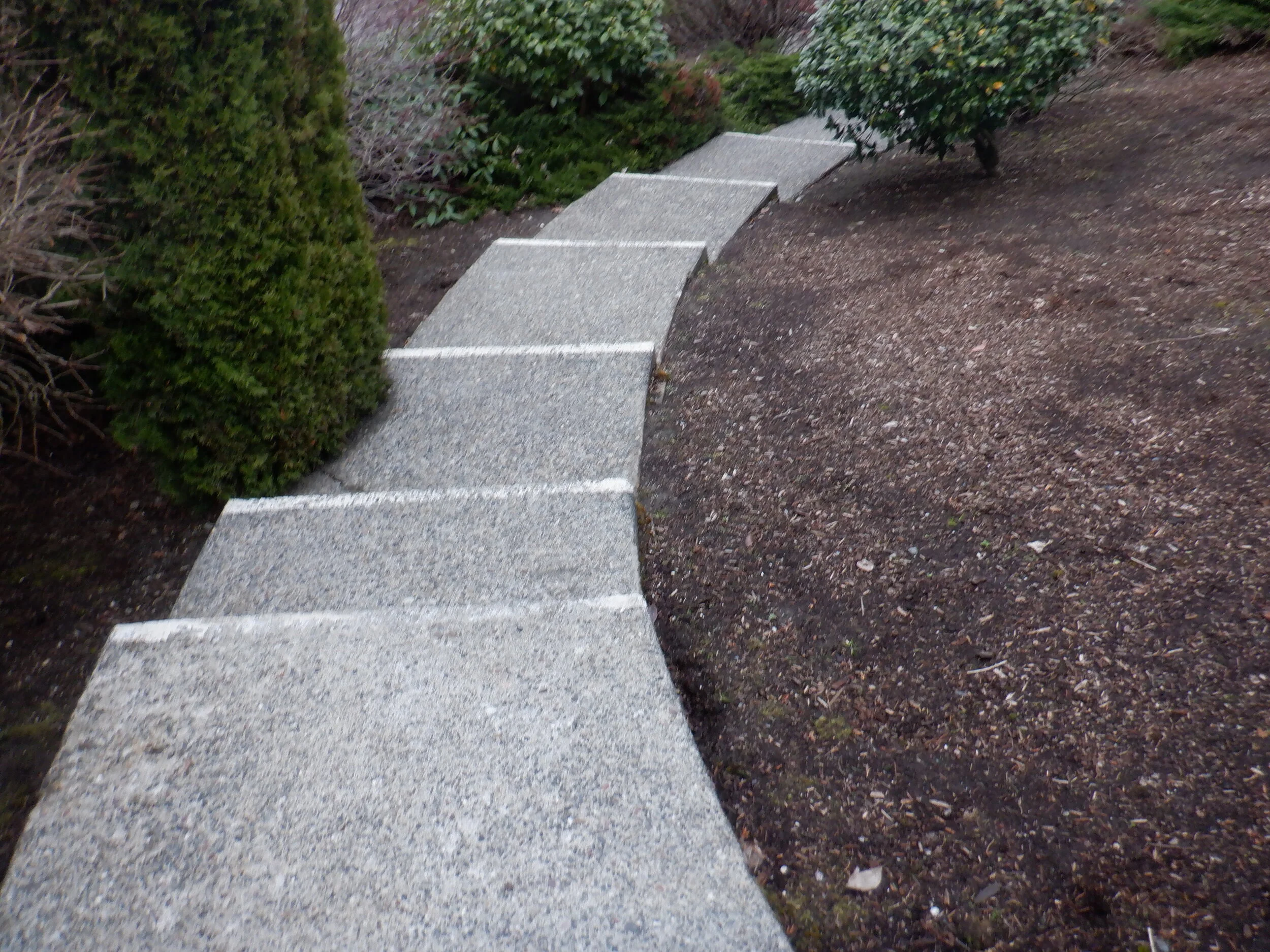 Creative Advantage Classes at Denny Middle u2014 Youth in Focus