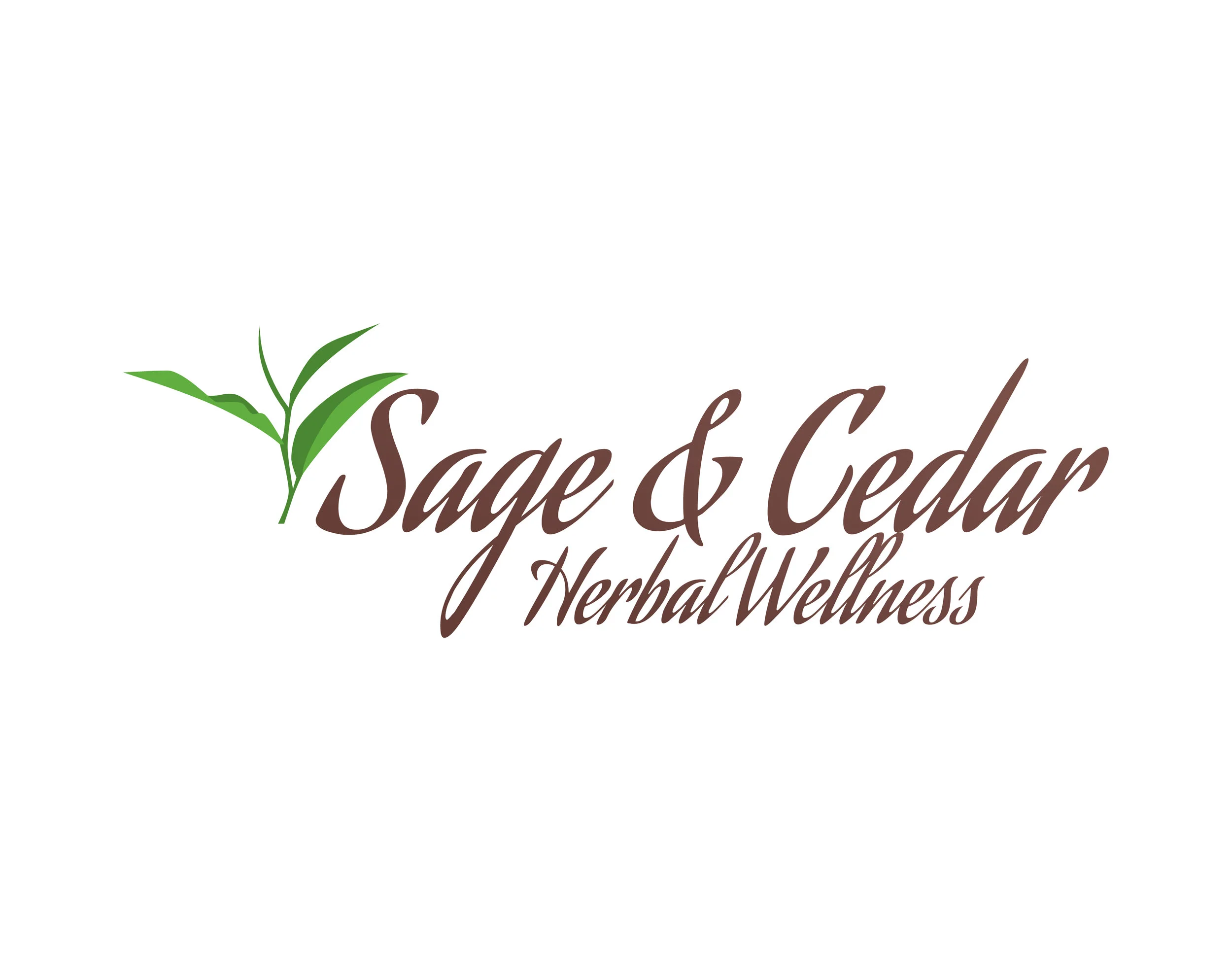 S&C Logo long.jpg