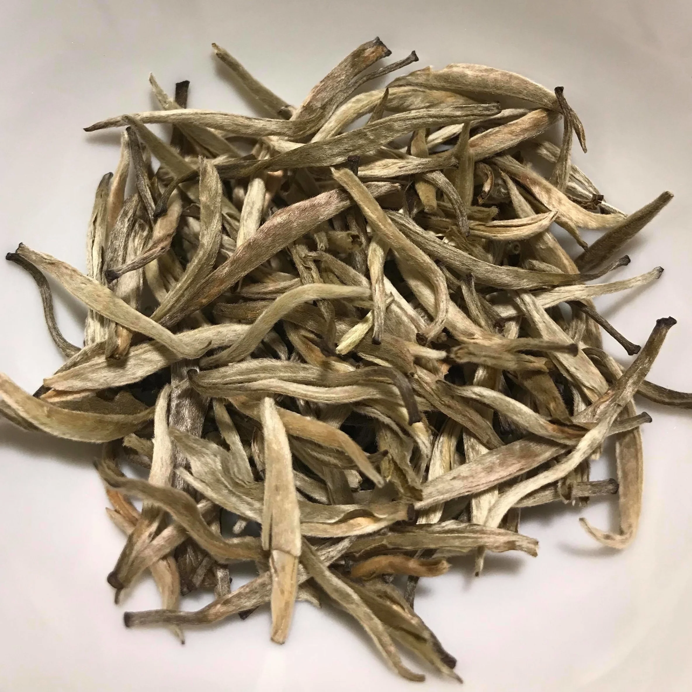 Yunnan+White+Jasmine+.jpg