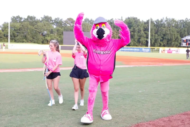 Florence Flamingos Baseball Game (Youth Event)