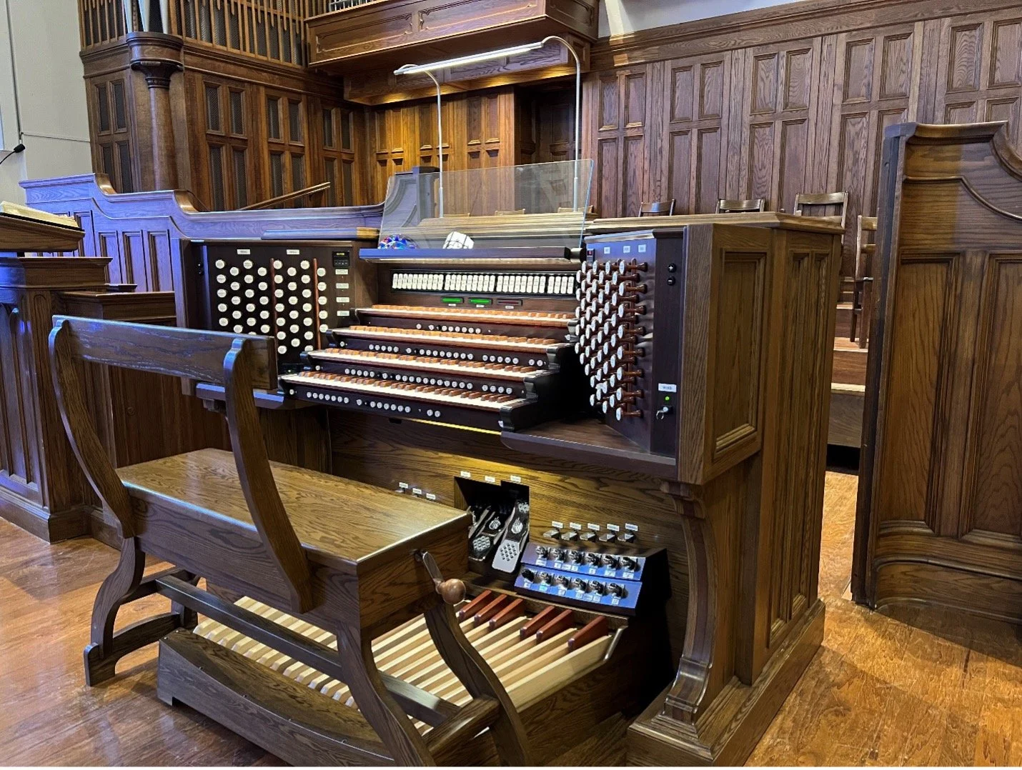 Organ 101
