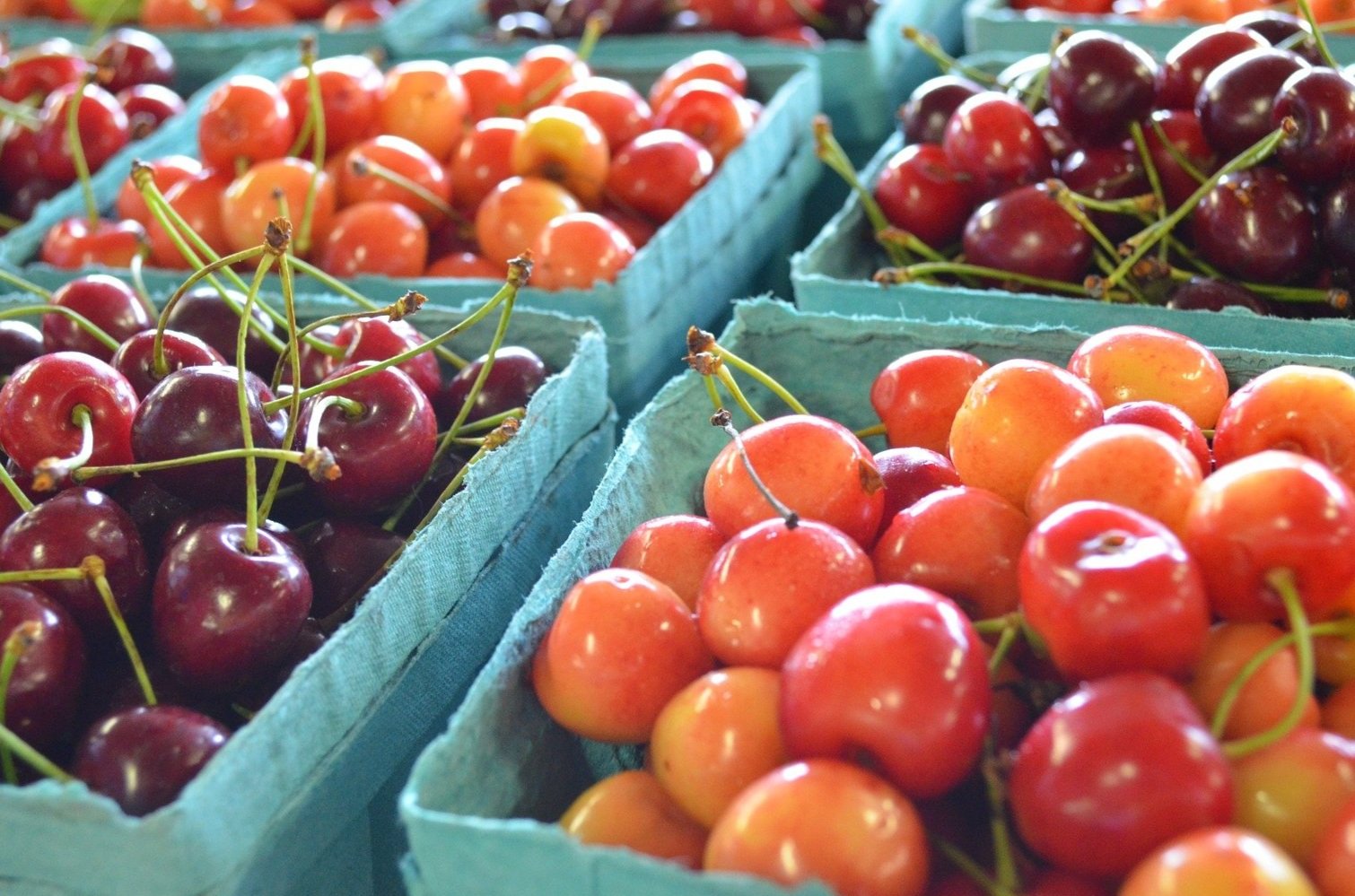cherry-1988586_1920_Pixabay.jpg