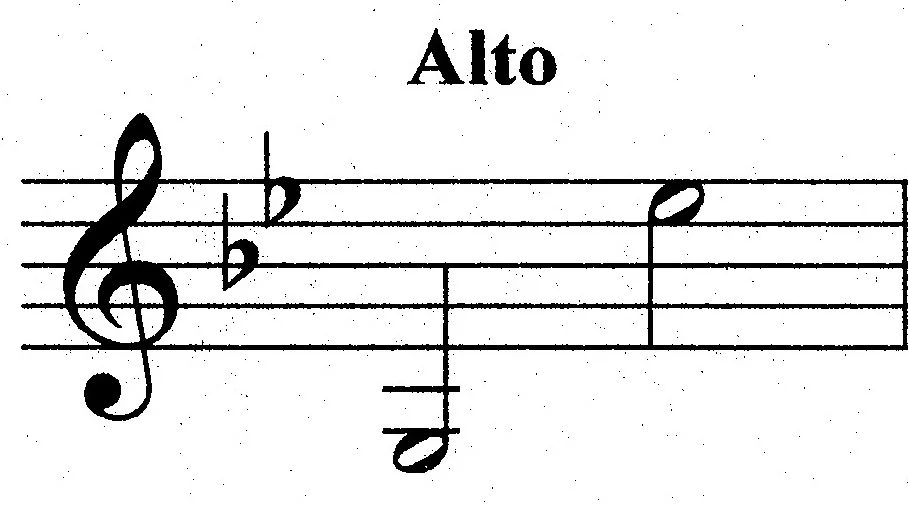 Vocal Solos — Brian Scott Story Music