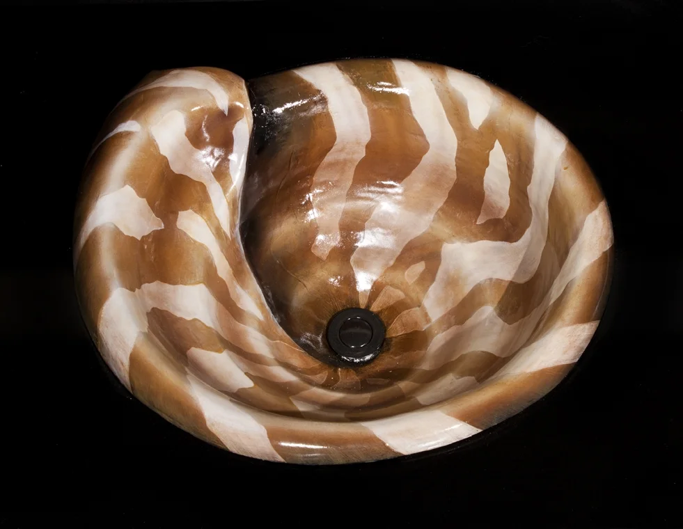 Nautilus Shell - Hand painted, drop-in sink