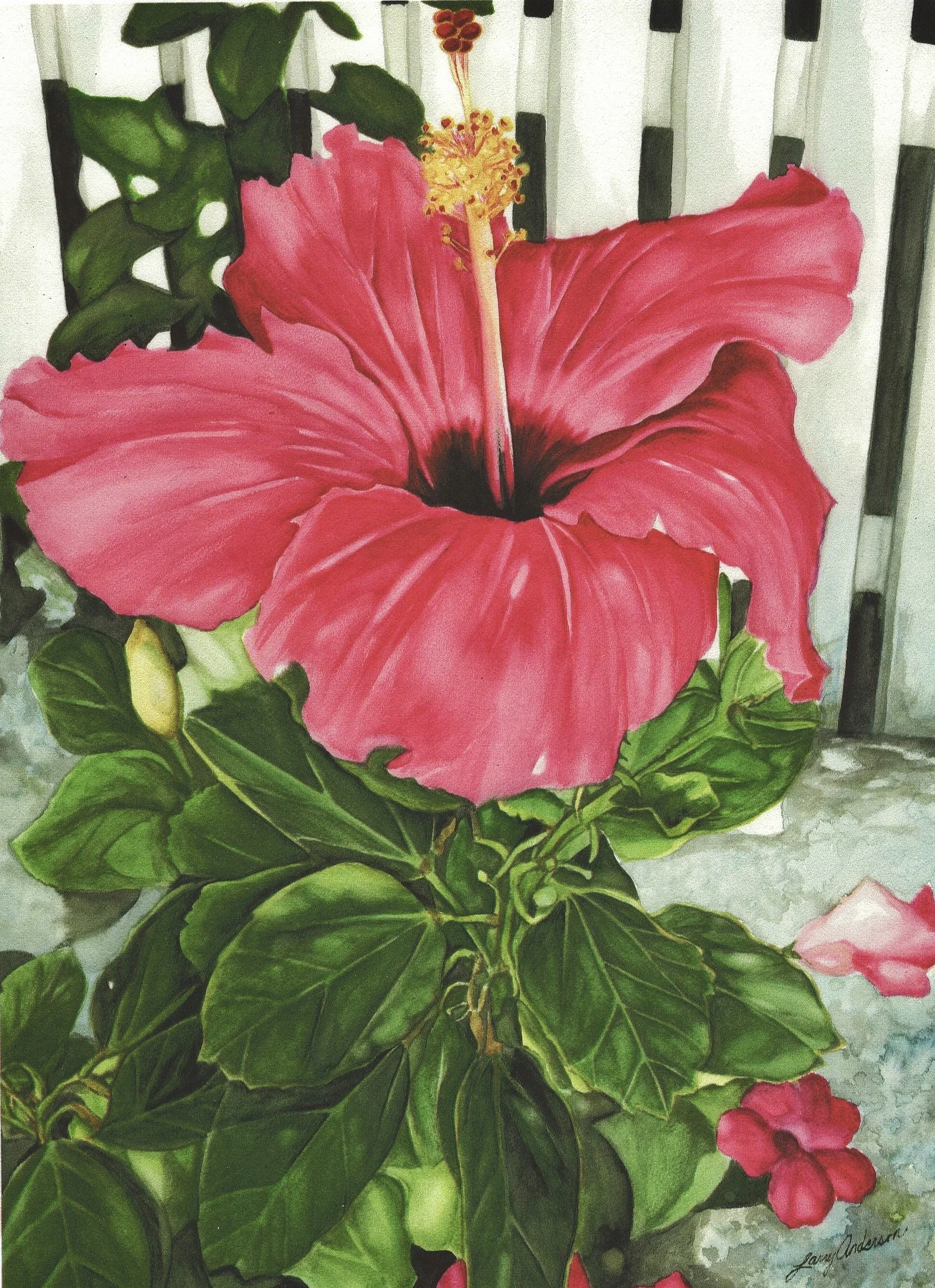 Pink Flower (3).jpeg