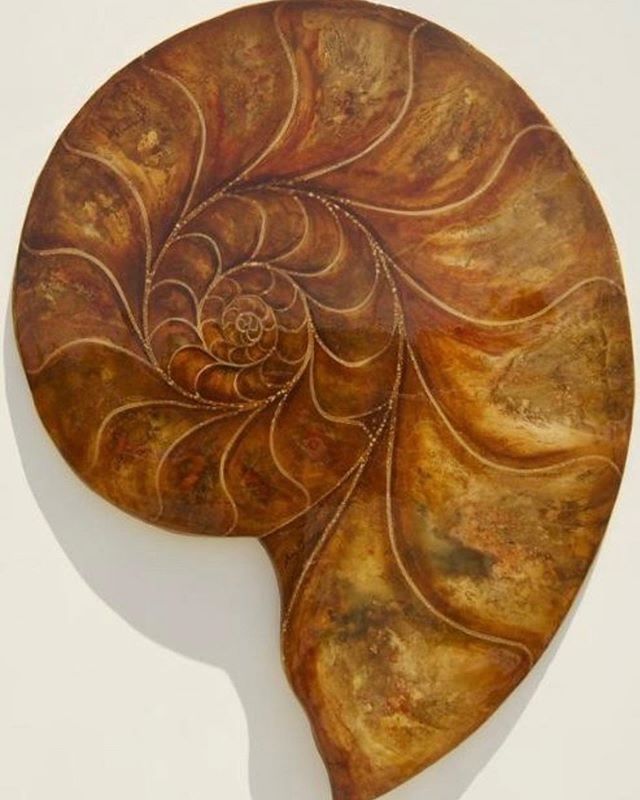 One of a kind acid stained concrete wall art with a  gorgeous, thick pour on finish that gives depth to artist Larry Anderson&rsquo;s conch shell creation!!!https://www.artisticillusions.ws