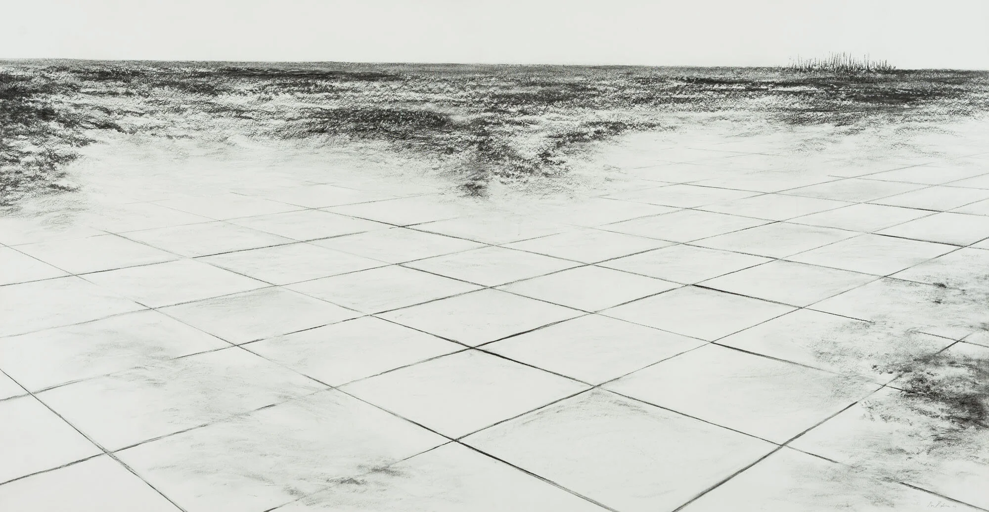 ontbloting<p font-weight="200">2004<br>Charcoal and Pitt on paper<br>98 142 cm</p>
