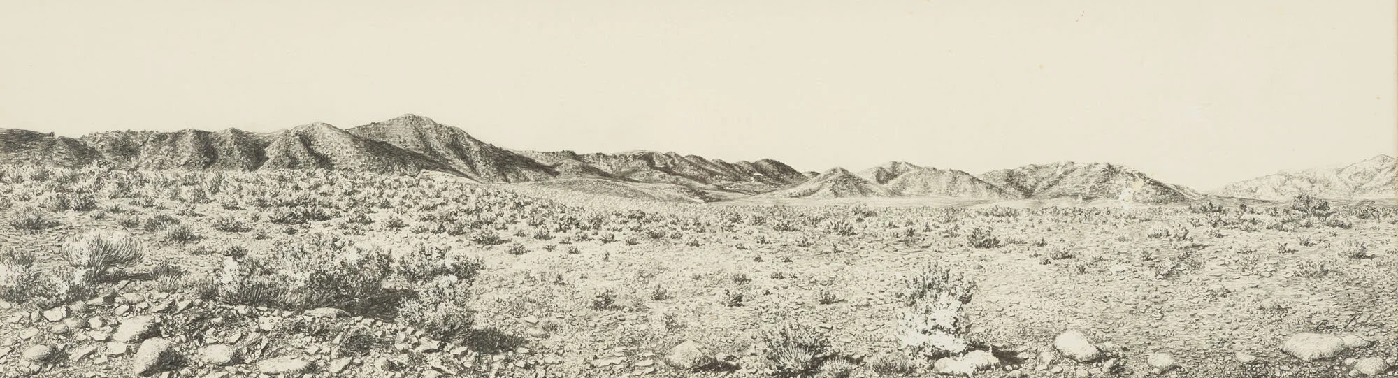 karoo landskap<p font-weight="200">1992<br>pencil on paper<br>10 x 36 cm</p>
