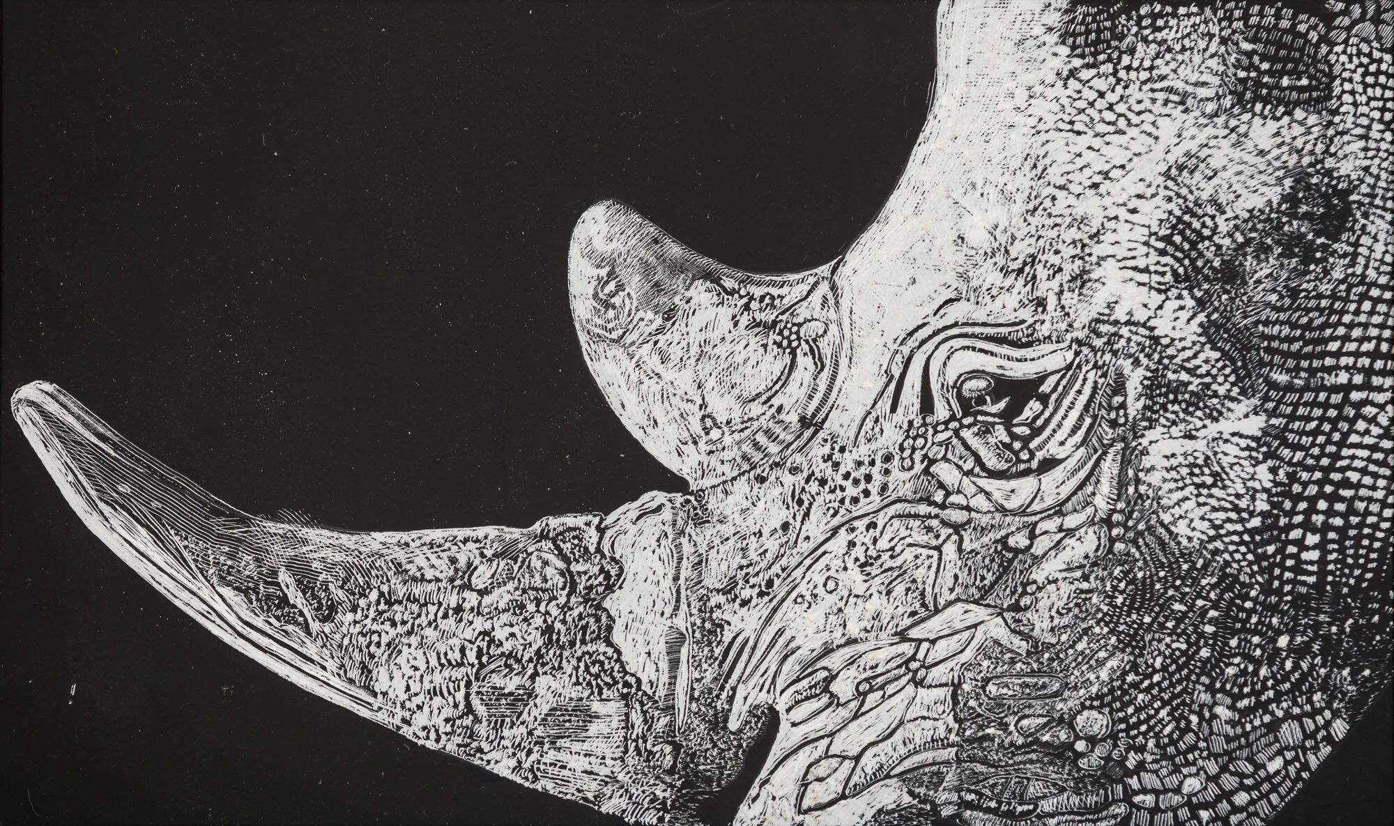 renoster installation<p font-weight="200">2013 - 2017<br>scraperboard</p>