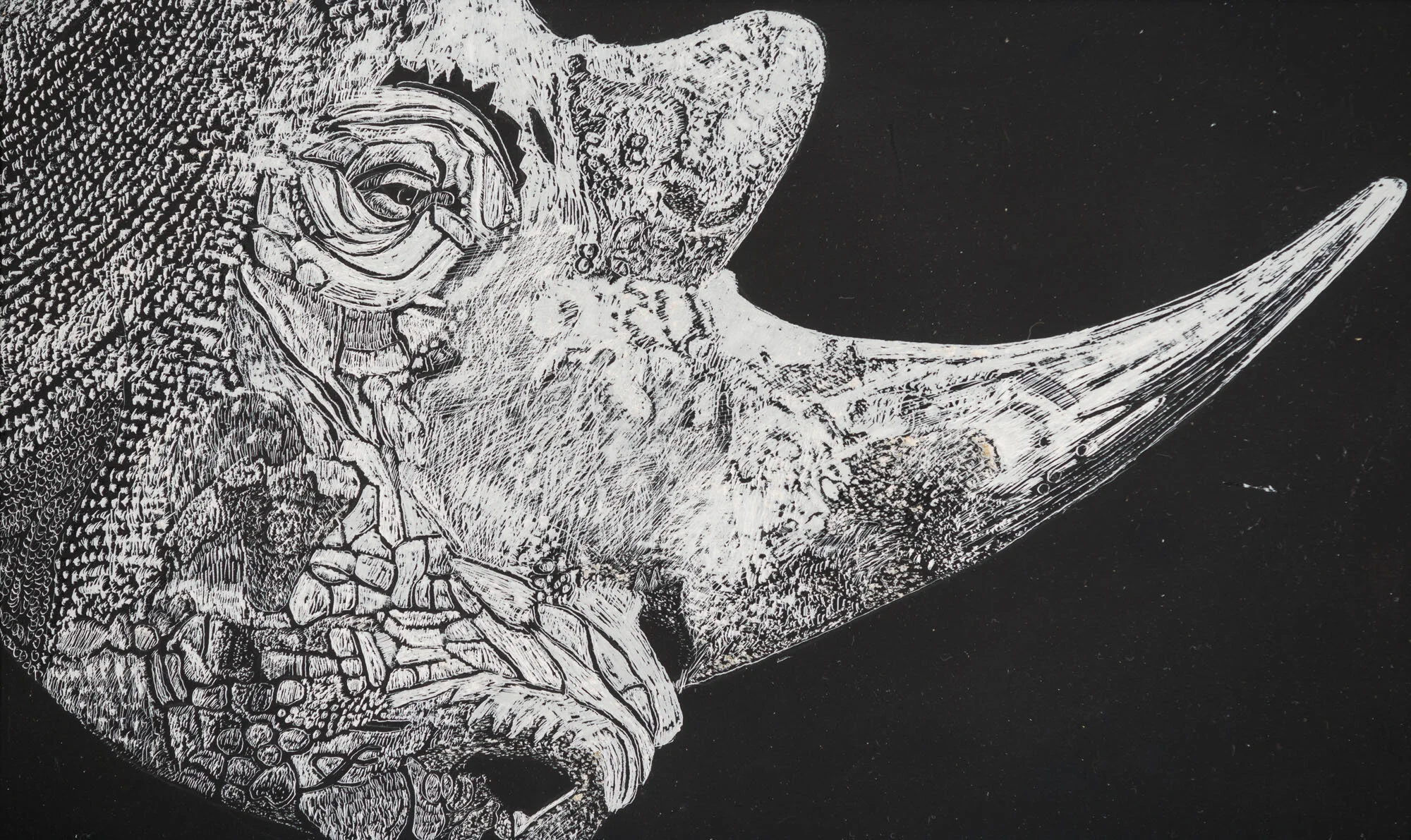 renoster installation<p font-weight="200">2013 - 2017<br>scraperboard</p>